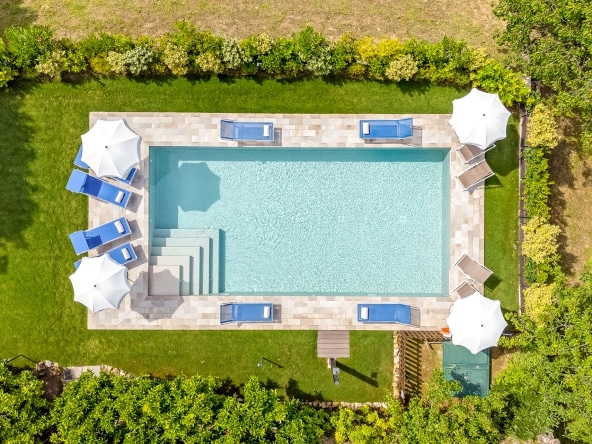 Close-up of the swimming pool edge and surrounding garden