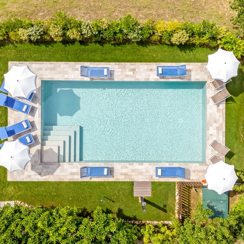 Close-up of the swimming pool edge and surrounding garden